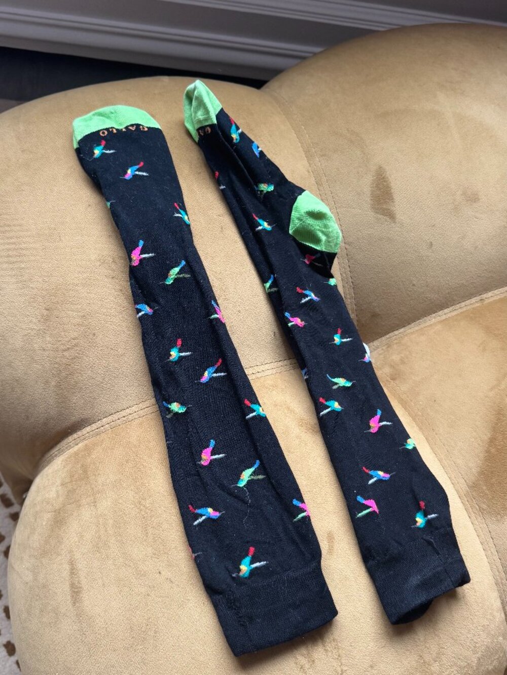 Gallo Hummingbird Long Socks Black Green Multicolor New